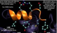 Protein Engineering Service