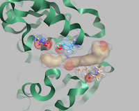 /custom/Putative binding site for the proposed target molecule.png