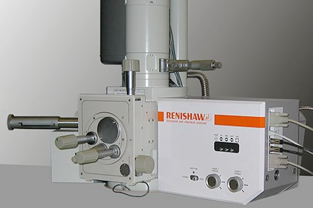 SEM-Raman system