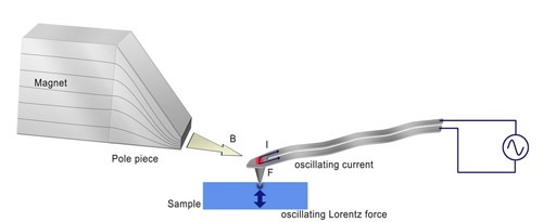 Schematic to illustrate Lorentz Contact Resonance imaging