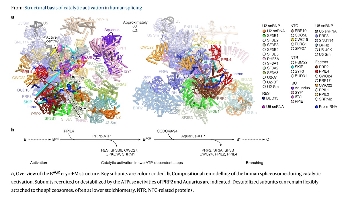 cell-nanobot-breakthrough-shines-light-cause-aggressive