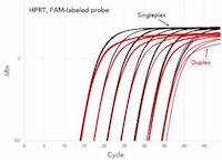 Singleplex and duplex PrimeTime® qPCR Assays using the PrimeTime Master Mix