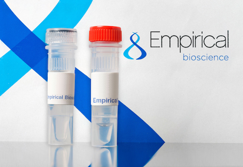 TAQ DNA Polymerase Labeling Extended to Include Long Term Refrigeration and Room Temperature Storage 