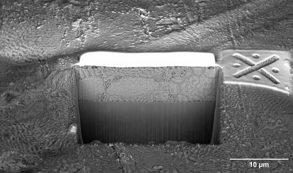 closing-the-industry-skills-gap-automated-microscopy