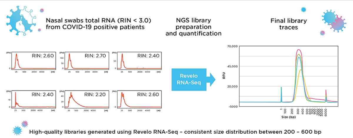 tecan-launches-rapid-viral-and-pathogen