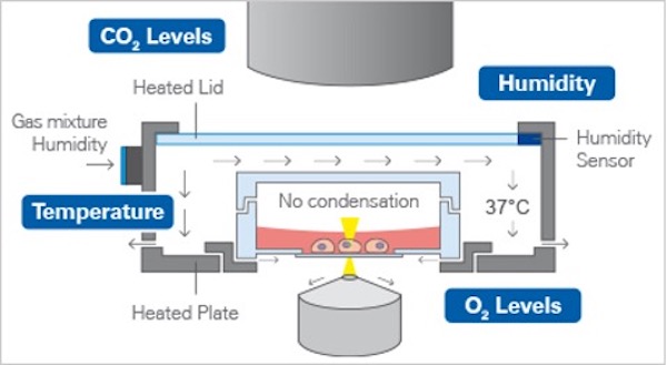 new-ibidi-silver-line-stage-top-incubators