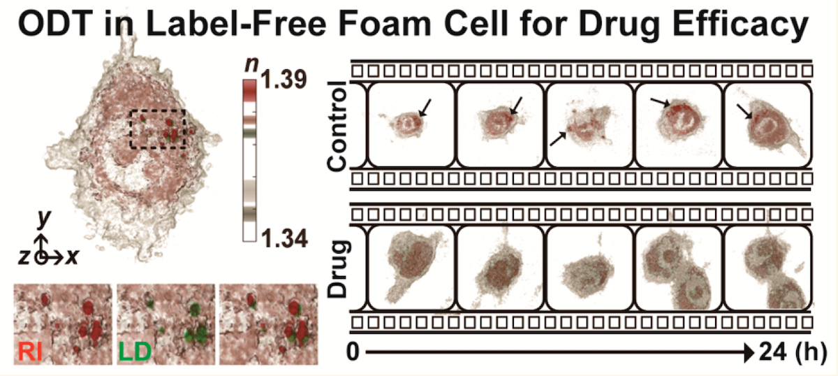 tomocube-microscope-quantifies-effectiveness