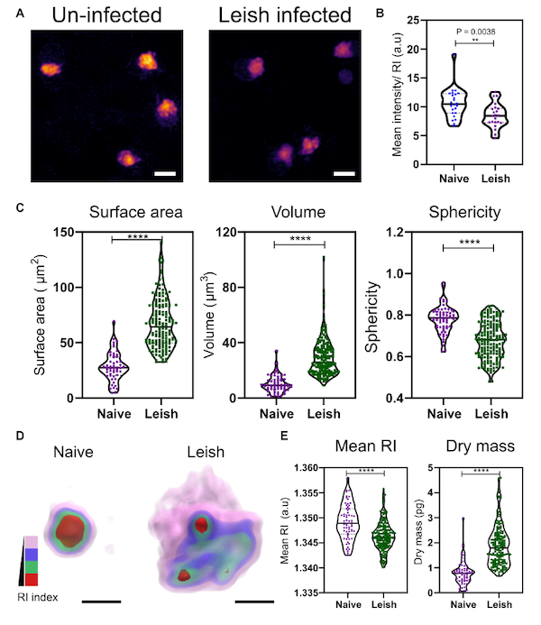 tomocube-labelfree-holotomography-microscope-opens-up