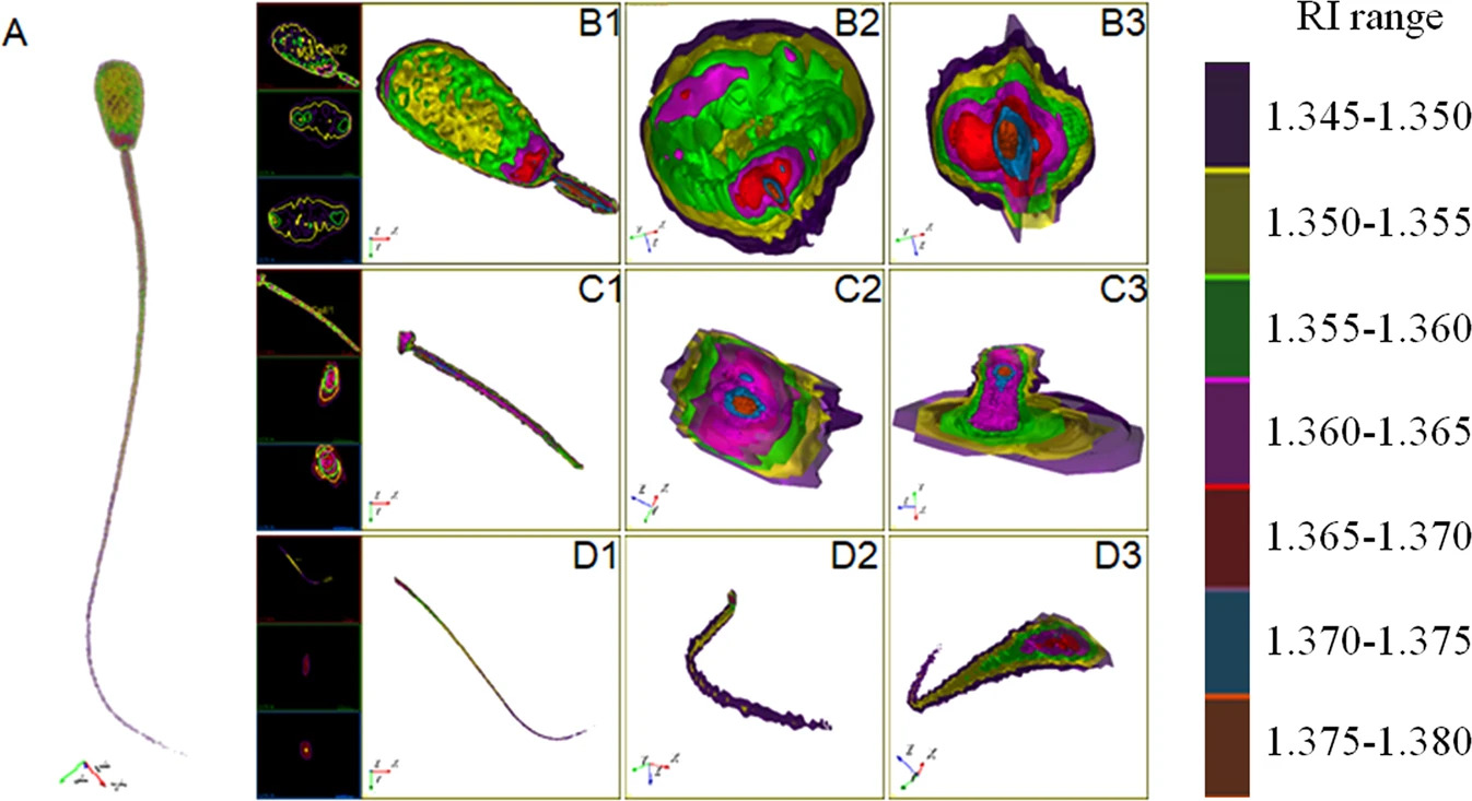 tomocube-holotomography-microscopy-enables-labelfree