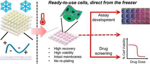 new-technique-readytouse-cells-research-demonstrated