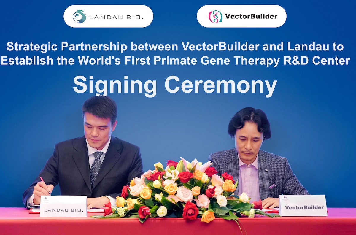 vectorbuilder-and-landau-enter-into-strategic