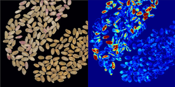 Videometerlab4 Multispectral Imaging System