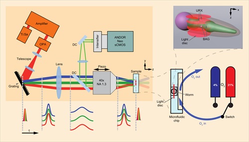 Volumetric fluorescence imaging using wide-field two-photon light sculpting