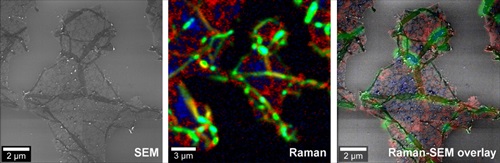 RISE Microscopy