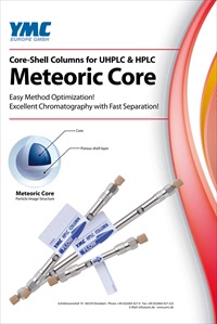 YMCFlyer_Meteoric_Core