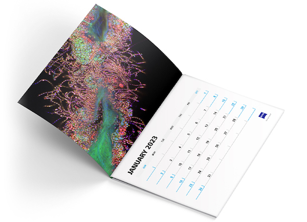 get-your-zeiss-microscopy-2022-calendar-limited-stocks
