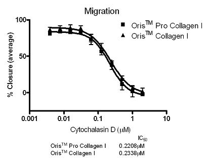 amsbiopr17-imageB.jpg