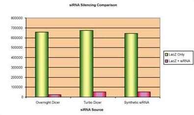 The Turbo Dicer siRNA Generation Kit from AMSBIO enables easy and cost-effective generation of a large number of small interfering RNAs (siRNAs) from full-length target genes