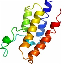 AMS Biotechnology