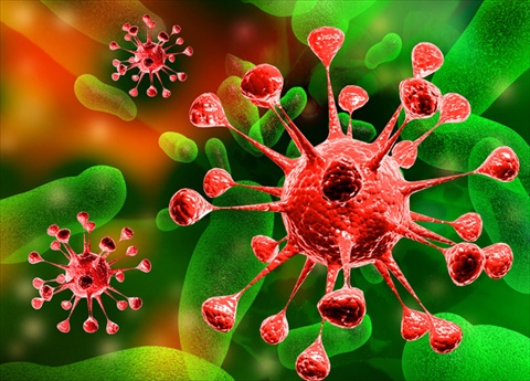 Stable Cell Line Generation Using Lentivirus