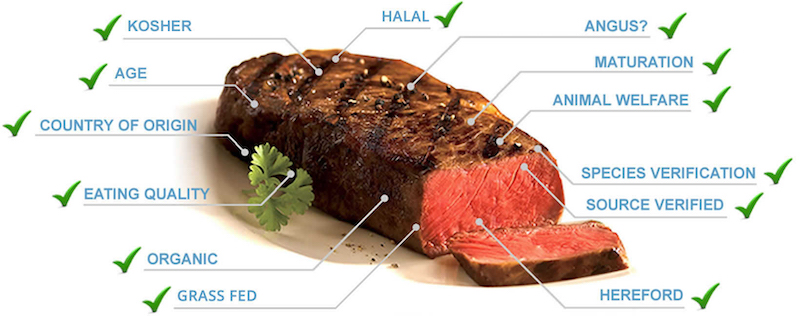 identigen-achieves-breakthrough-highthroughput