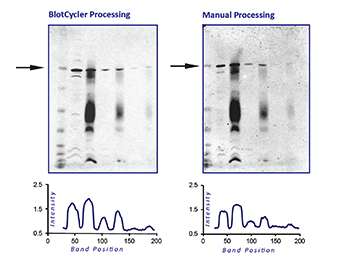 biocycler