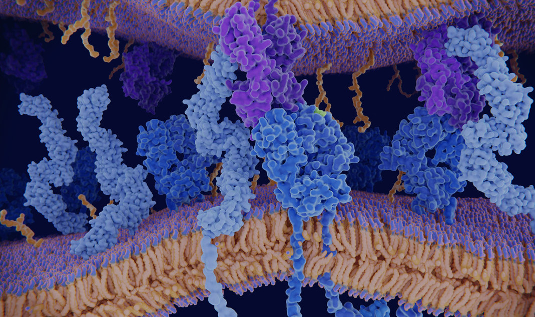how-gilson-helping-biotechs-scaleup-peptide