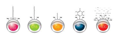 The Kinetex® core-shell particle 