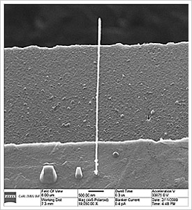 Tungsten Pillar deposited with Helium Ion Beam (7700nm tall and 45nm in diameter).