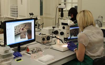 Meiji microscopes in use to study the Staffordshire Hoard