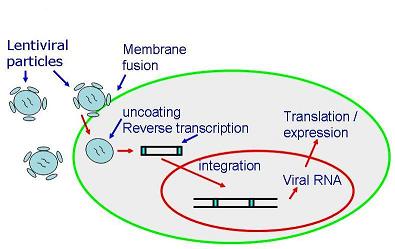 amsbiopr22-image