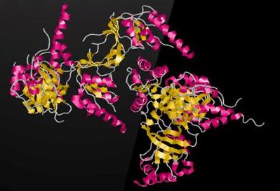 Standardized Comet Assay System Ensures Reproducible Results