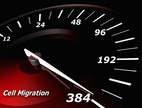 New Cell Migration Assay Dramatically Reduces Cost Of High Content Screening