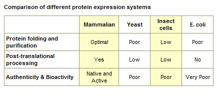 Extensive Range of Purified Full Length Human Proteins