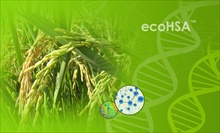 ecoHSA™