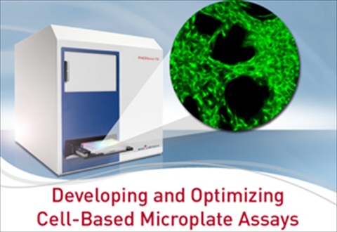 cell-based-assays