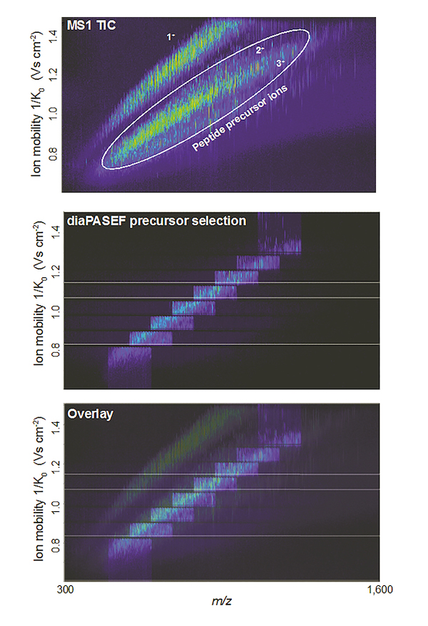 Bruker-Progress-4D-Proteomics-Additional-Novel-timsTOF-Pro-Workflows-EuPA-2019