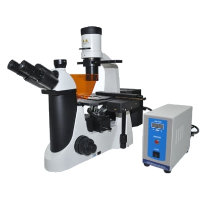 MF50 inverted fluorescence microscope