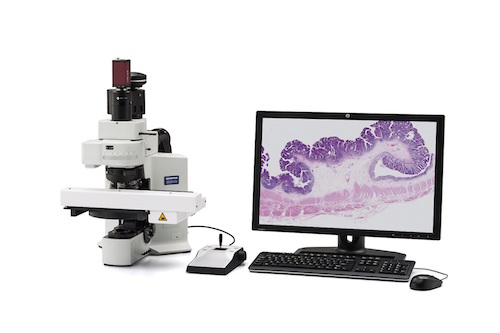 fluorescence slide scanning