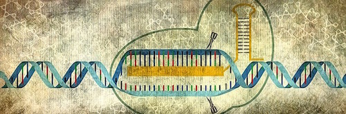 genome picture