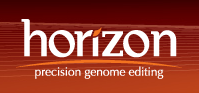 horizon logo