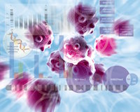 human regulatory chromatin