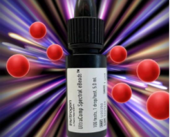 thermo-fisher-launches-new-solution-deliver-clearer