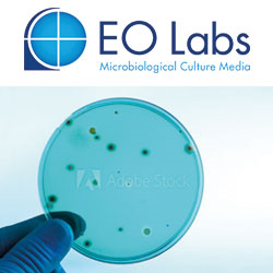 E & O Laboratories Ltd