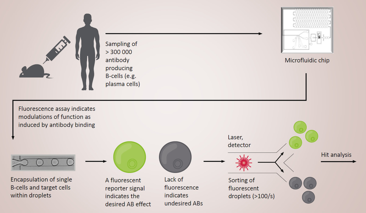 velabs-and-chiome-enter-into-cooperation-gpcrspecific