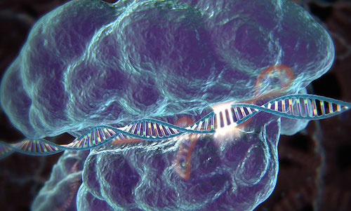 CRISPR/Cas9