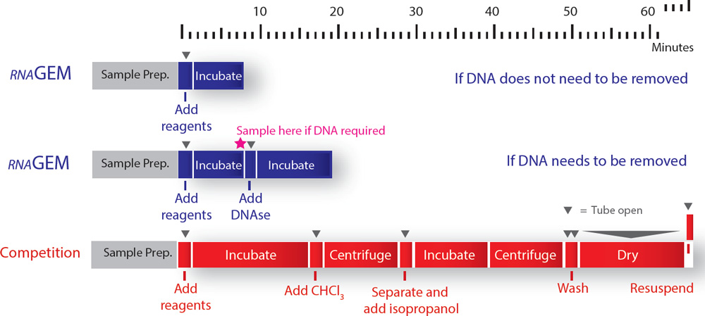 mRNA-Profiles-as-Close-to-Biological-Reality-as-Possible
