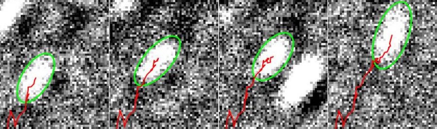 cell-muscle-movements-visualised-first-time