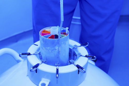 optimised GMP grade cryopreservation