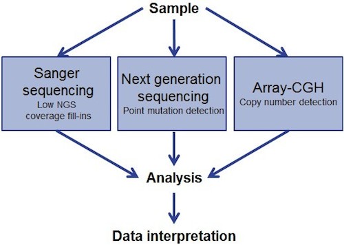 oxford gene technology